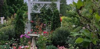 2021 Hennepin County Master Gardener Virtual Learning Garden Tour