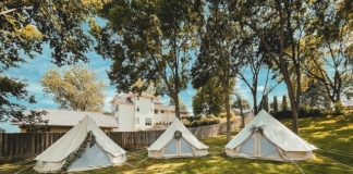 The Collective: Pitched