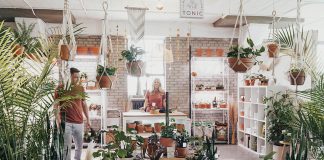 The Collective: Tonic Living and Plantscapes