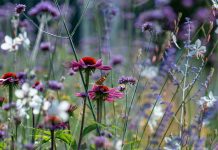 Three Ways to Create Sustainable Outdoor Spaces