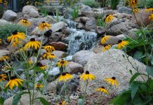 Reimagine Outdoor Living with Trio Landscaping waterfall by Trio Landscaping