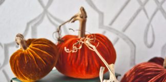 The Collective: Plush Pumpkin