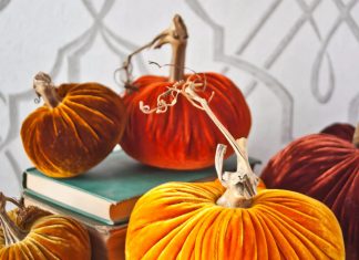 The Collective: Plush Pumpkin