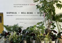 Revisiting Biophilia
