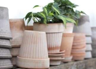 Horta Culture: Gardening Made Simple