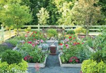 Sarah’s Cottage Creations’ Tips for a Beautiful Backyard This Spring