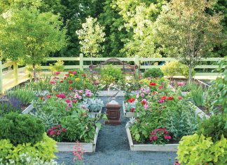 Sarah’s Cottage Creations’ Tips for a Beautiful Backyard This Spring