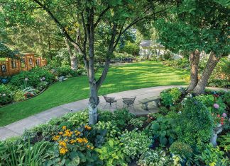 Cottage Grove Garden Grown From the Heart