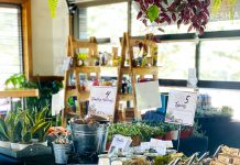Sales + Events: March Embraces the Spring Season
