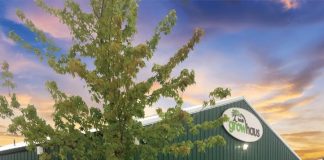 2024 Ideas to Steal: Exteriors + Landscaping