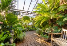 Sales + Events: February Features Art, Flowers & Local Makers