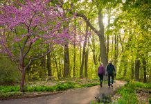 Sales + Events: April Celebrates the Arts