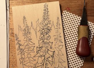 Northerly Flora Celebrates Summer With Botanical Art Series