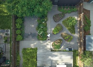 A Small St. Paul Yard Lives Big