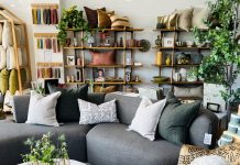5 Years of Foxwell Shoppe