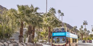 Escape to Palm Springs for Modernism Week