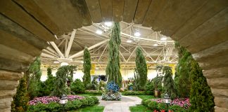 Sales + Events: February Brings Fresh Energy