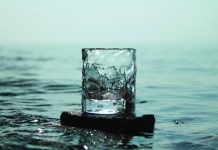 Summer 2026 Product Picks: Bring the Outdoors In Lowball glass from Dante Germain's River Rock Series.