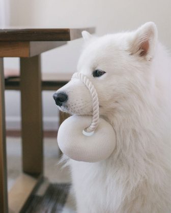Croissant Plush Toy with Chew Rope from Design for Pets. August 4, 2026