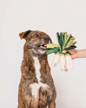 Green Onion Nosework Toy from Design for Pets. August 4, 2026