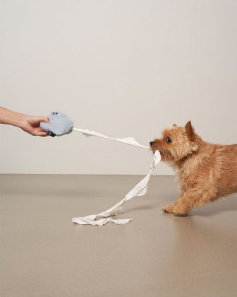 Ugly Toy Blue from Design for Pets. August 4, 2026