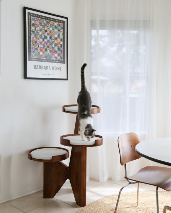Sundial Cat Tree Tower from Catenary Home. August 4, 2026