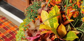 Custom container design featuring oranges, deep reds, and greens, and variety of foliage.